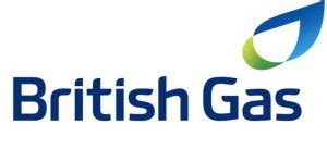 is the british gas website down